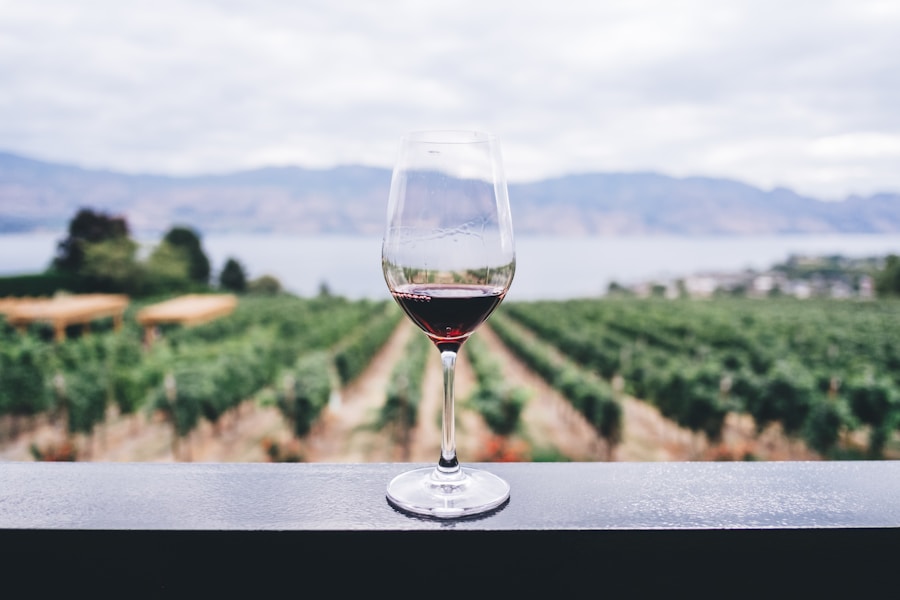 Selezione di vini e beverage